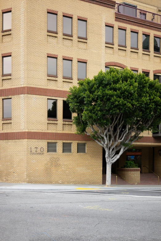 a large tan building with lots of windows and a tree in front