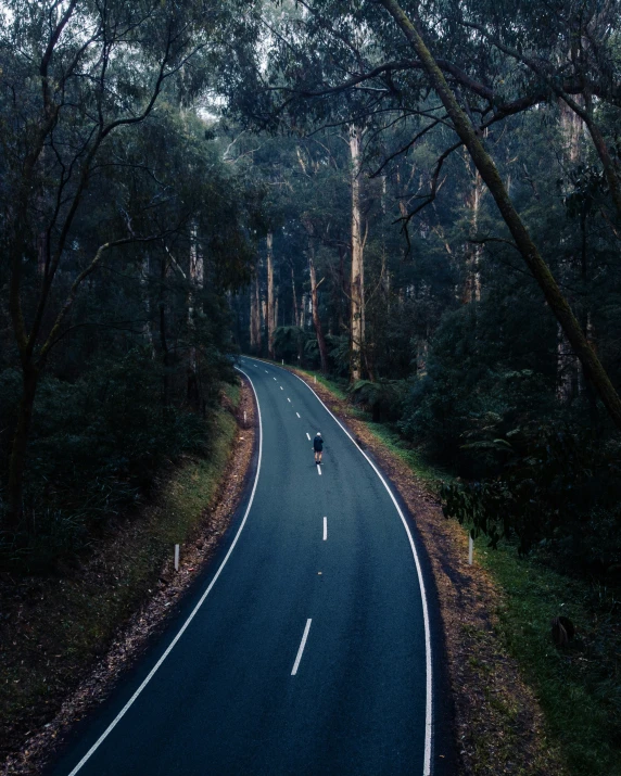 a long curved road running through a forest