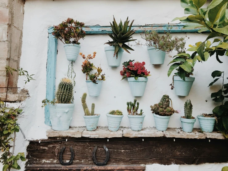 a group of potted plants sit on a ledge in a white building