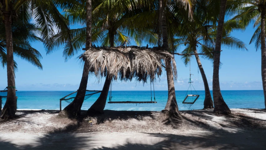 hammocks and palm trees on the beach