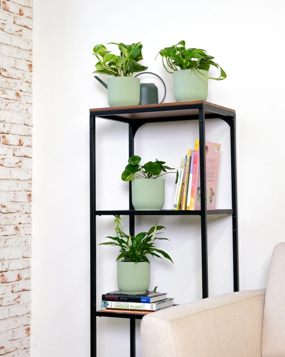 plants on three tiered bookcase in a corner