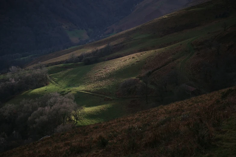 green and yellow fields next to mountains in the evening