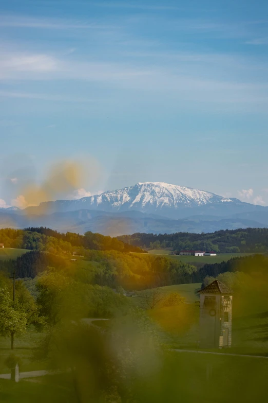 a snowy mountain view seen through a forest