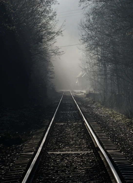 a train track runs through a foggy forest