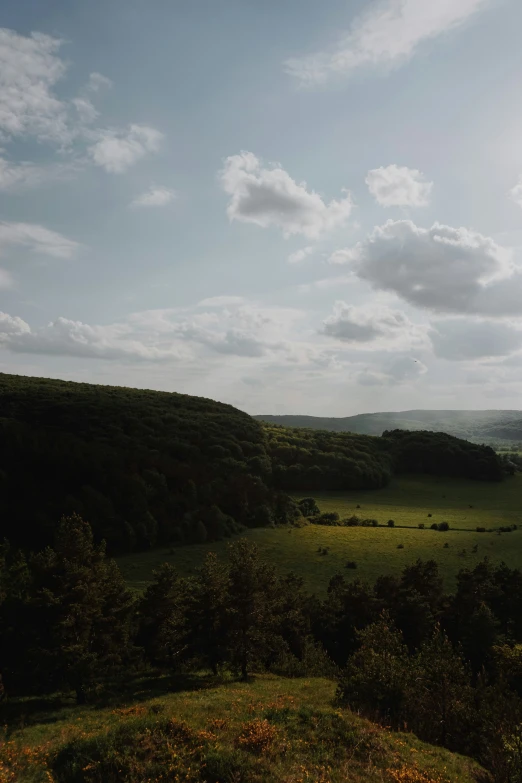 an image of a grassy hill during the day