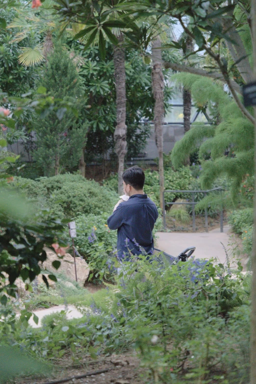 a man on a cellphone is surrounded by trees and bushes