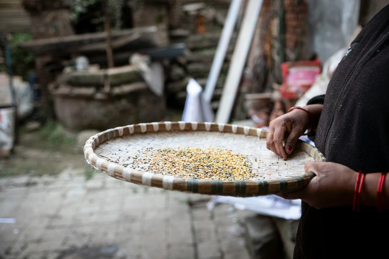 a person holding a tray full of bird seed