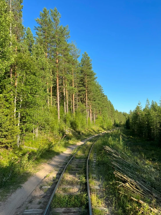 a view of railroad tracks and trees from a distance