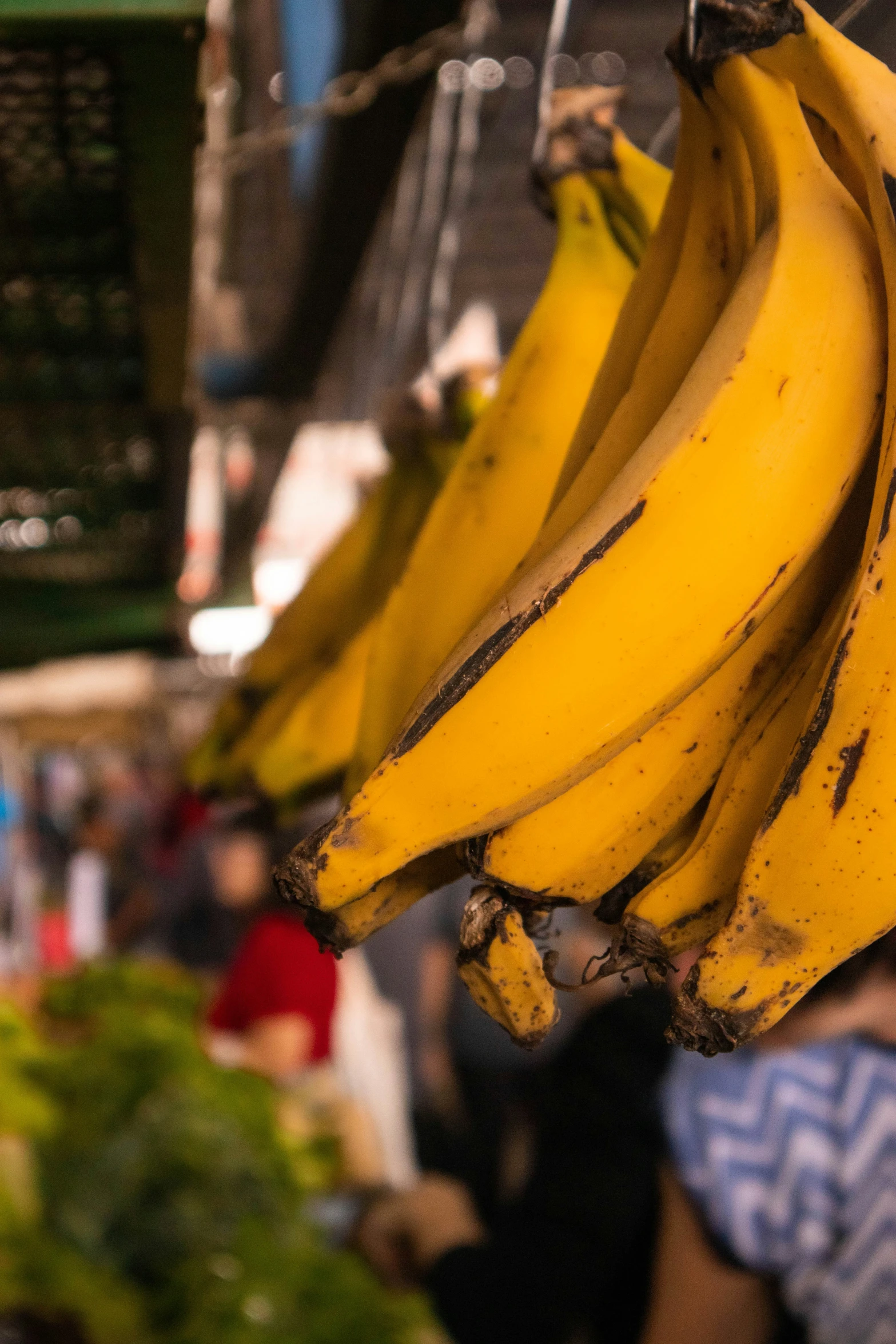 bunches of bananas hanging next to each other in a market