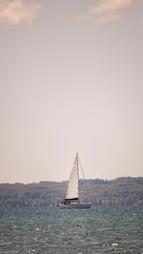 a sailboat in the ocean with trees on land