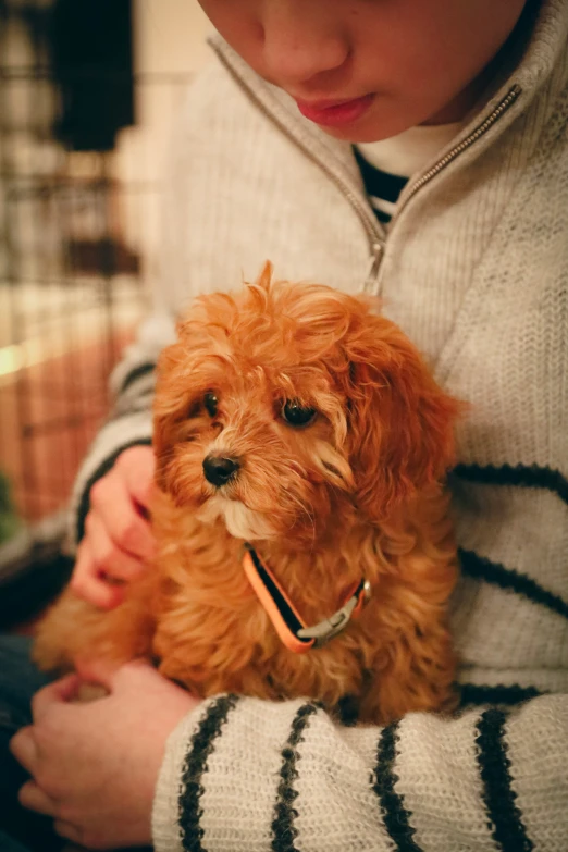 a boy holding his dog in his arms while he uses a cell phone