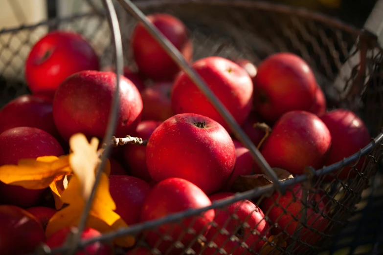 a basket of apples sit on a table