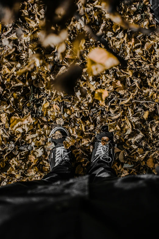 pair of black shoes, and fallen leaves with a dark background