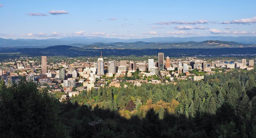 the cityscape of a city is viewed from a hill