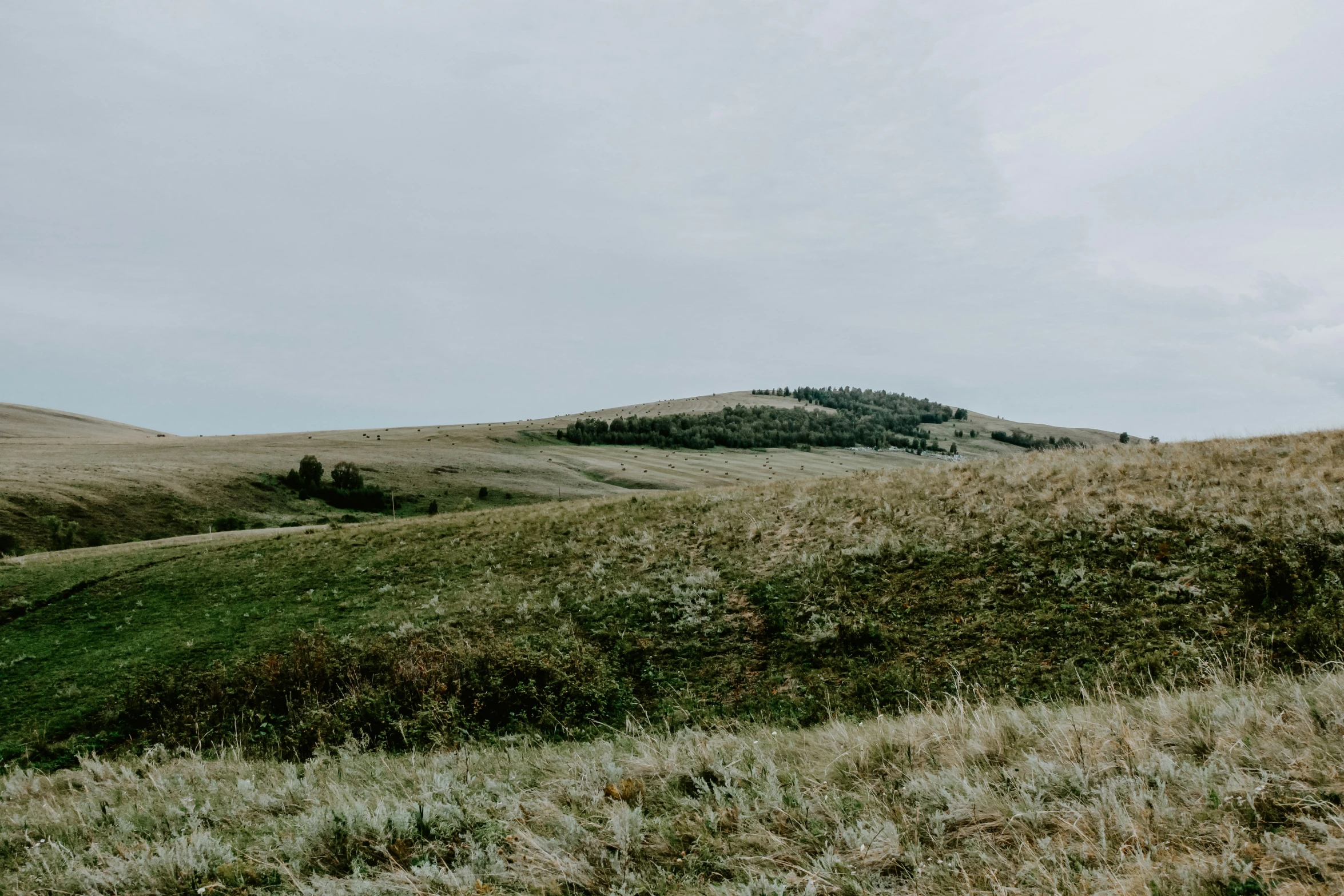 green hills in the distance with sp grass