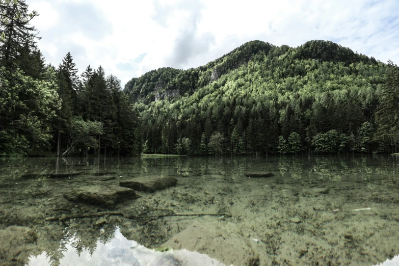 a water source surrounded by trees and grass