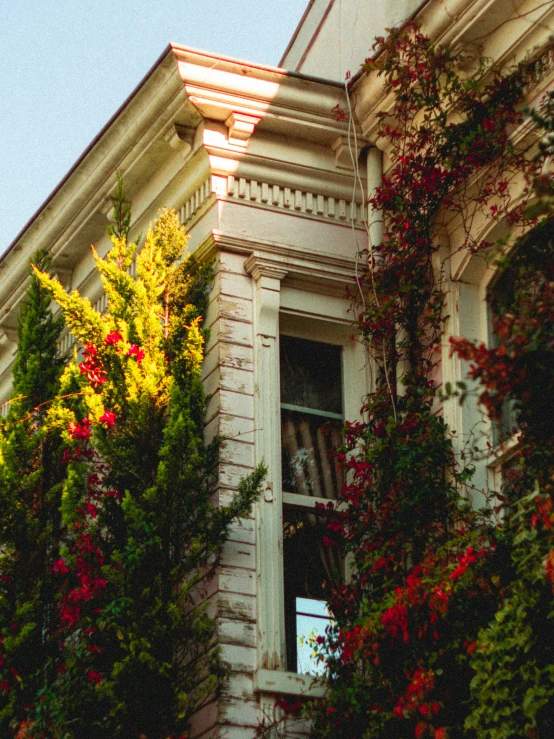 a brick building covered in ivy and colorful flowers