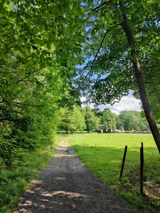 a narrow path splits through a grassy field