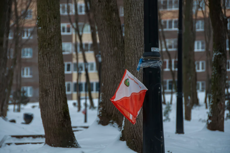 an image of a flag stuck in the pole