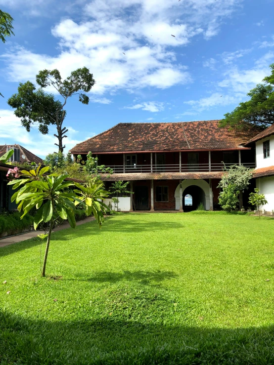 a home with a tree in the backyard