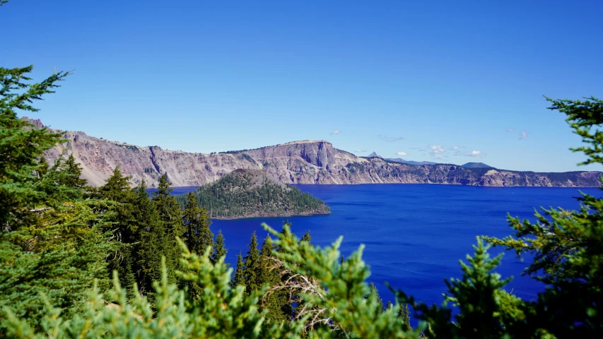 blue water surrounded by trees on a sunny day