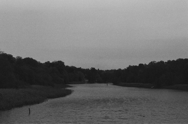 a body of water surrounded by trees and a cloudy sky