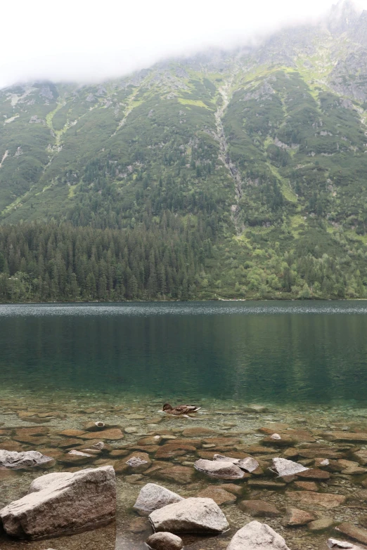 the mountain with a lake below that is surrounded by rocks