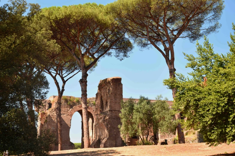 two ruins, one with trees surrounding them