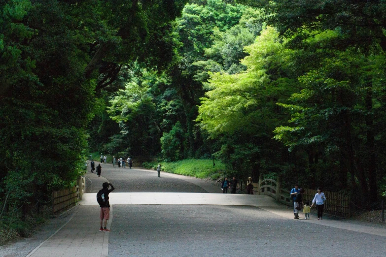 people walking along an empty road surrounded by greenery