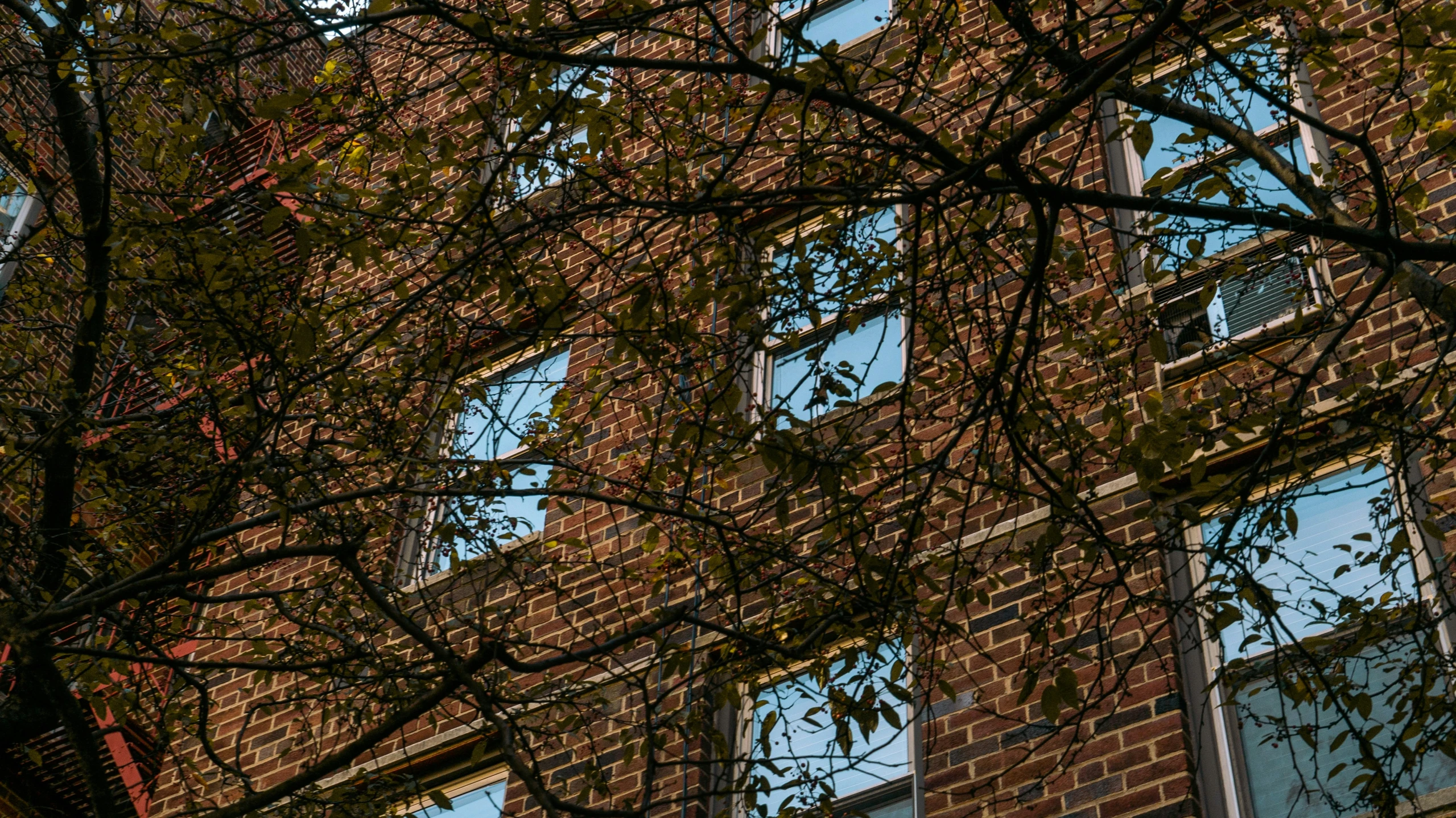 a building with four windows and lots of nches