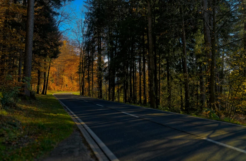 a very long road that has some trees in the background