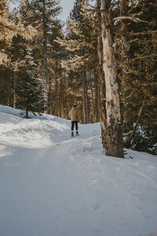 a person in brown jacket standing in a wooded area