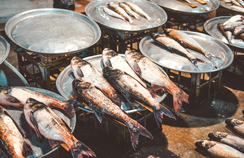 fish being prepared in pots for sale in a street market