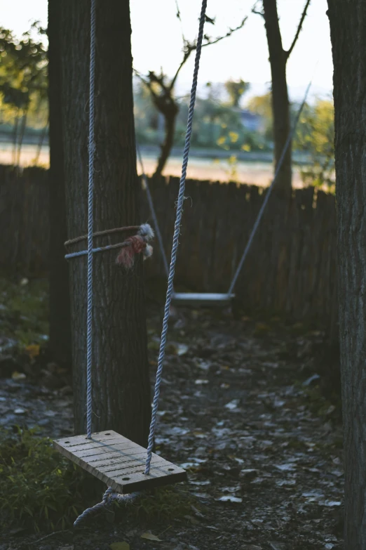 a chair swings in the woods next to two trees