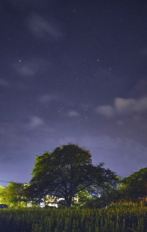 a green field filled with grass under a night sky