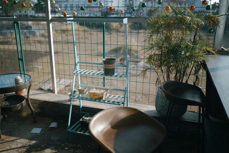 potted plants inside a green wire enclosure next to a table with chairs and a chair