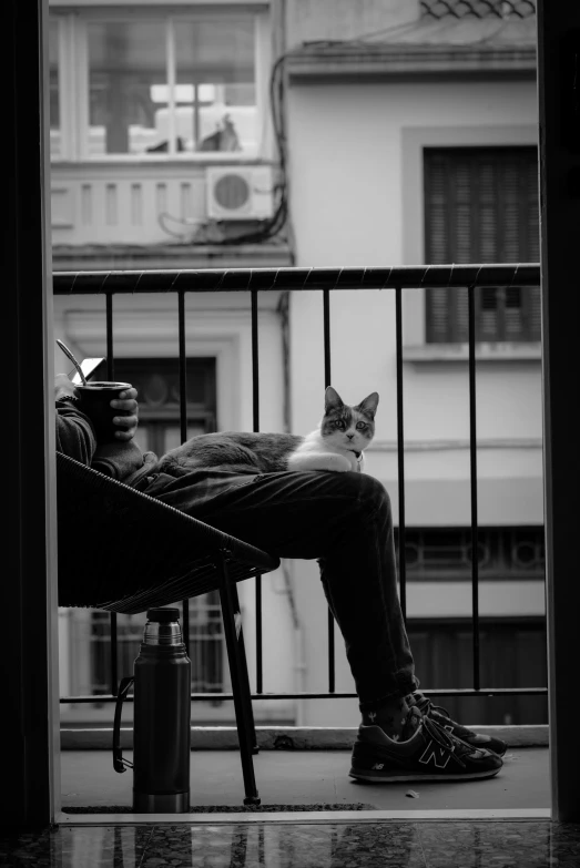 a black and white po of a man reading a book with a cat laying on his lap