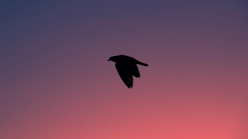 an eagle soaring through the purple sky