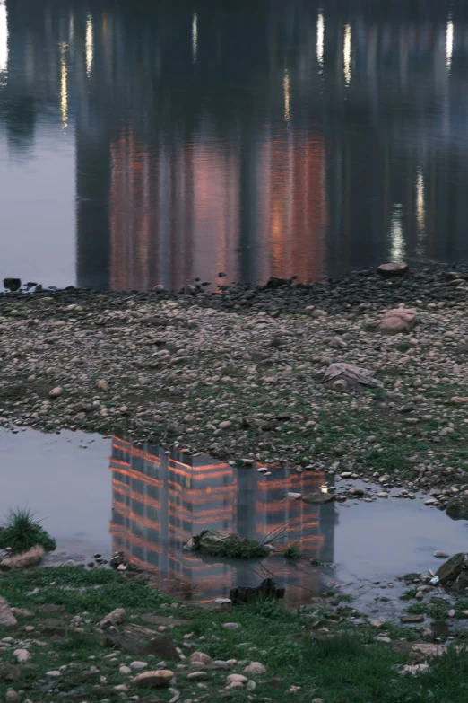 a reflection in water of a very tall building