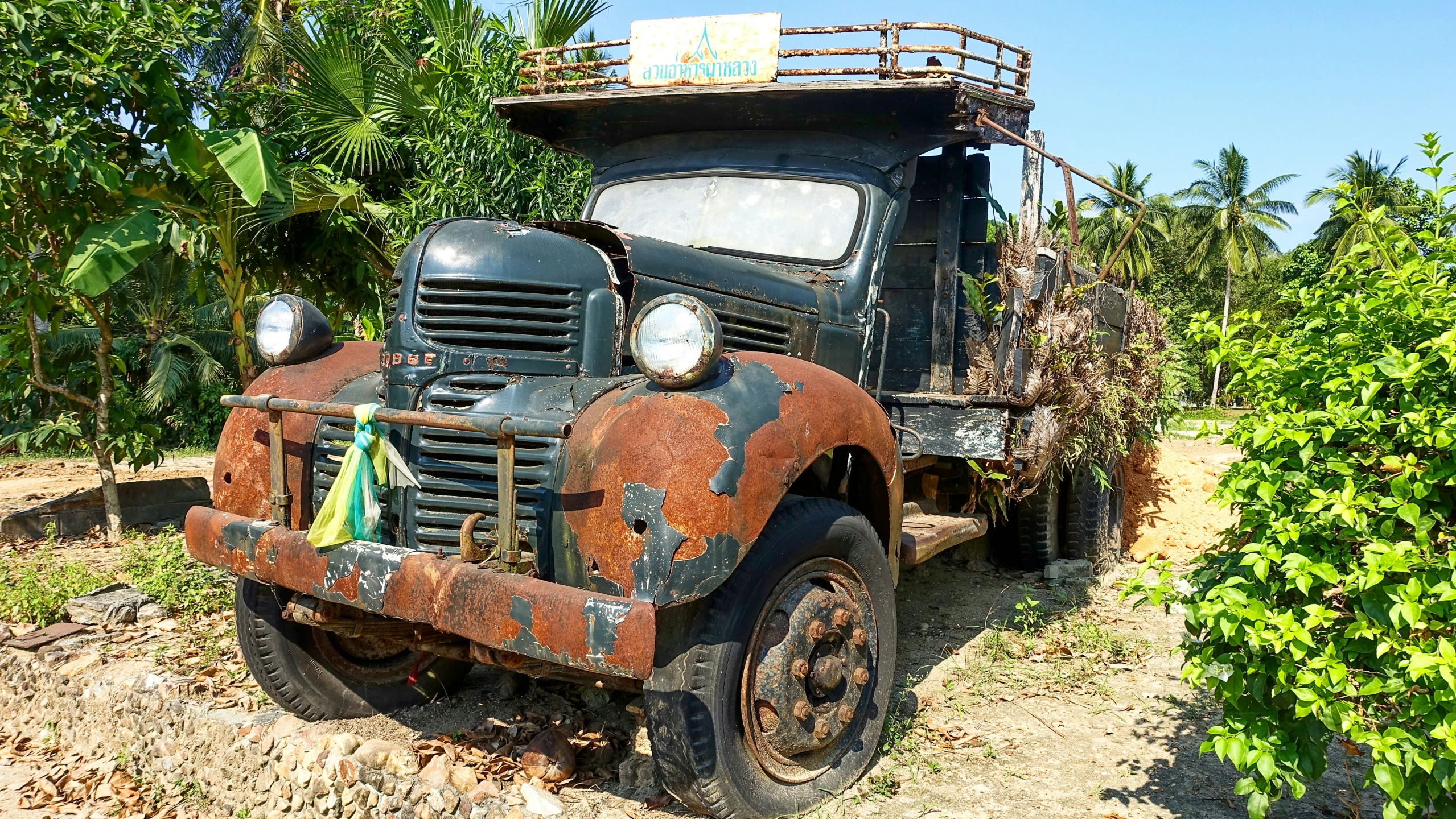 a rusted out truck in the jungle surrounded by trees