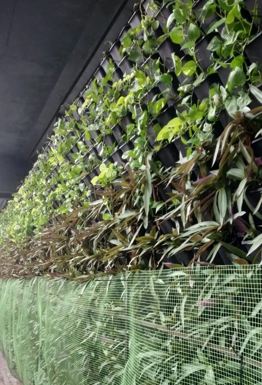 plants are hanging over a wire mesh fence