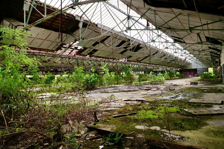 this is an old train station with vegetation growing out the ground