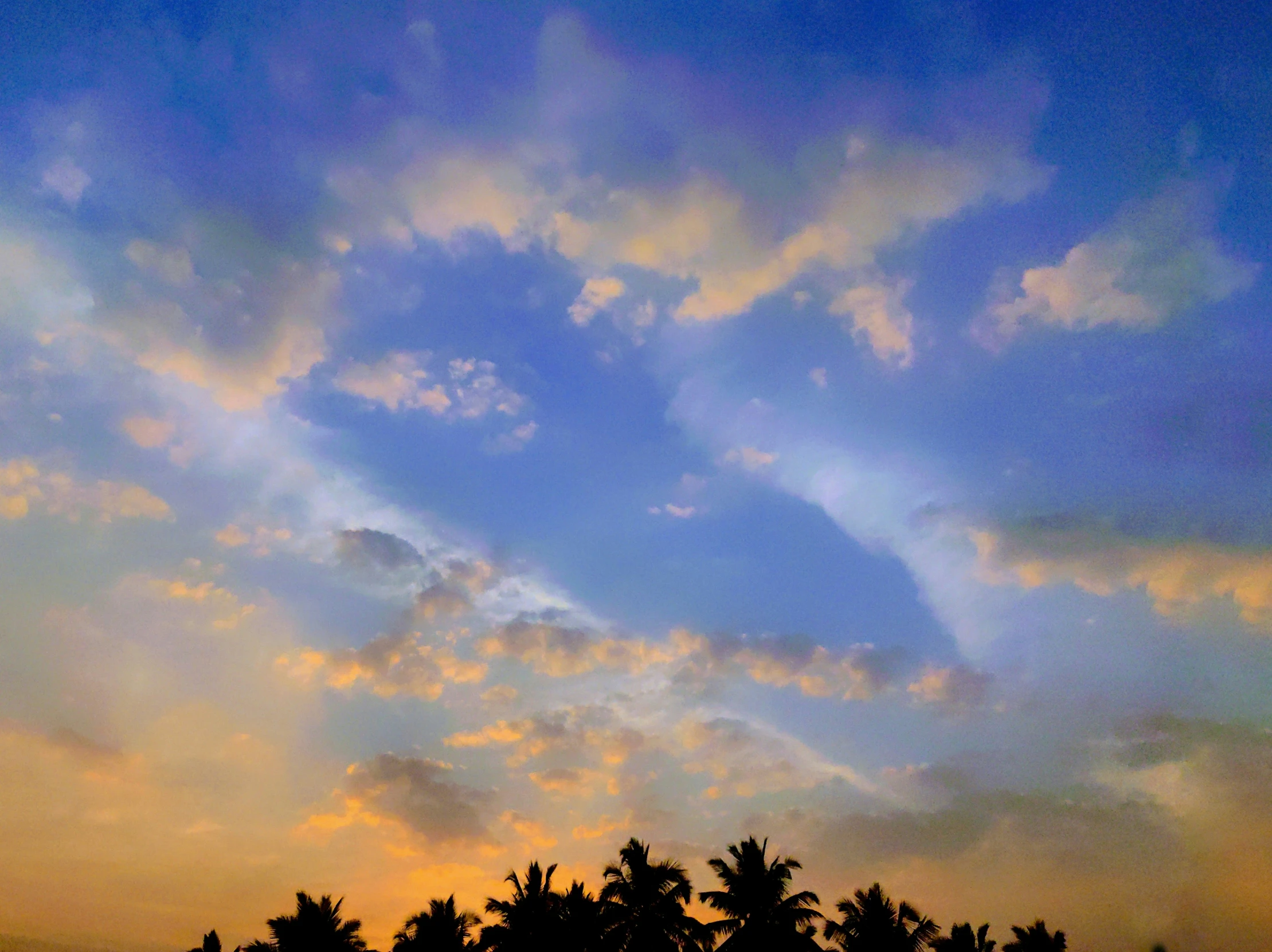 the silhouette of trees against a bright sky