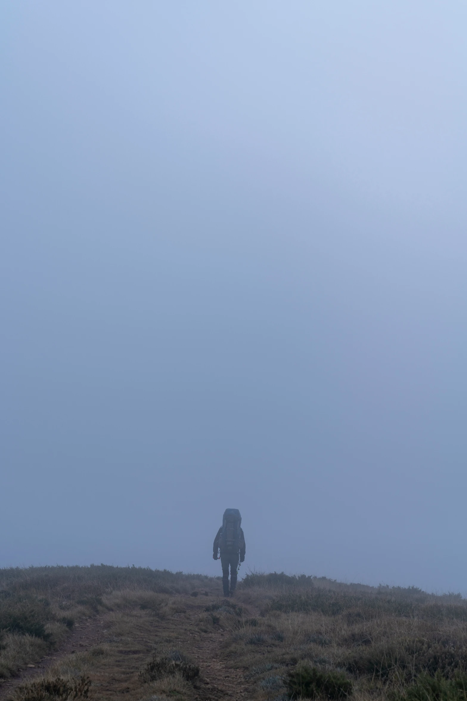 a person walking up a hill on a foggy day