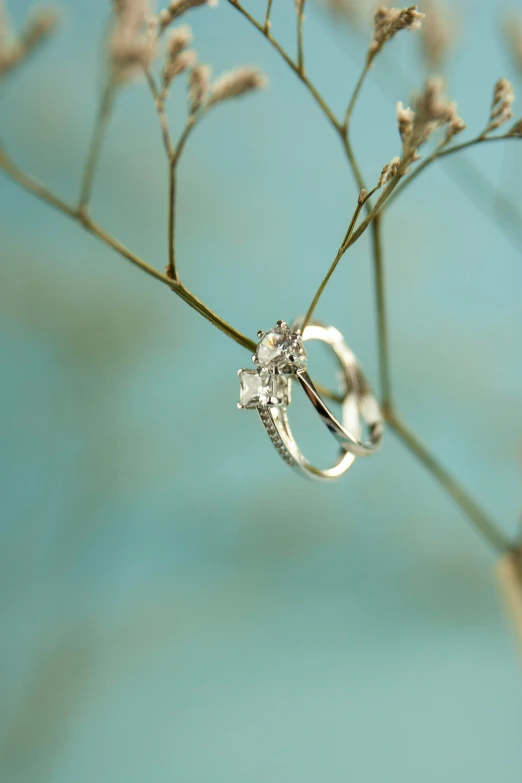 a small diamond ring sits on top of the stem