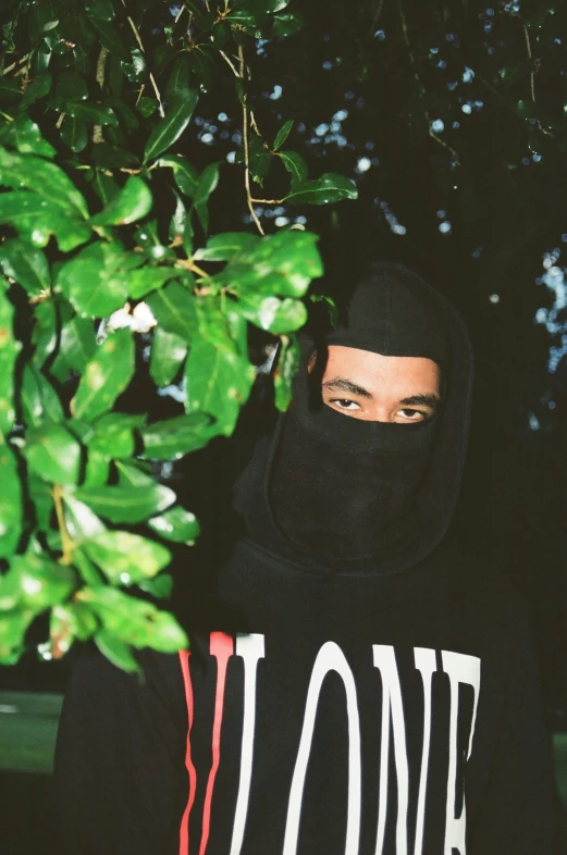 a person with their face obscured in a hood standing next to a bush