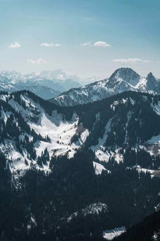 view of snowy mountains and trees from the top