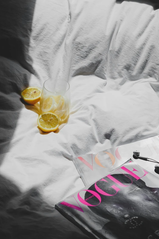 lemon slices are beside a glass with water and books