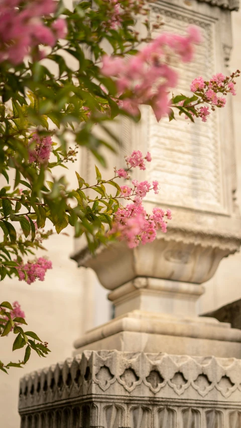 the outside of an old building has many pink flowers