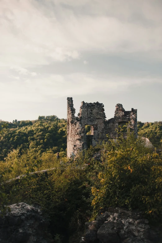 a castle sits in the middle of trees and has an open window